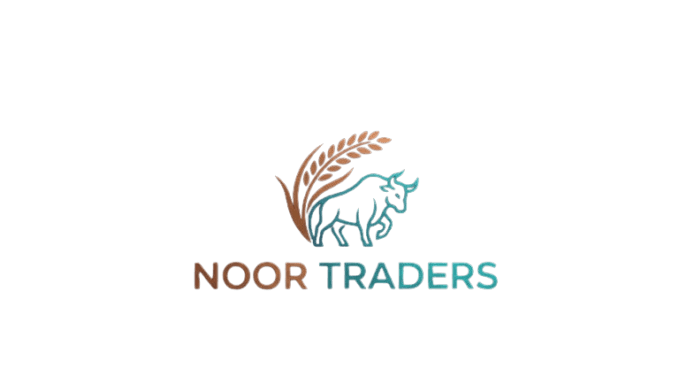 Noor Traders Logo